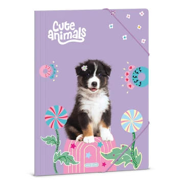 Ars Una Cute animals- Aussie A/4 gumis dosszié