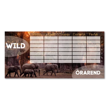 Ars Una Máté Bence The Eyes of the Wild órarend