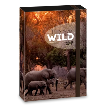 Ars Una Máté Bence The Eyes of the Wild - Elephant A/4 füzetbox
