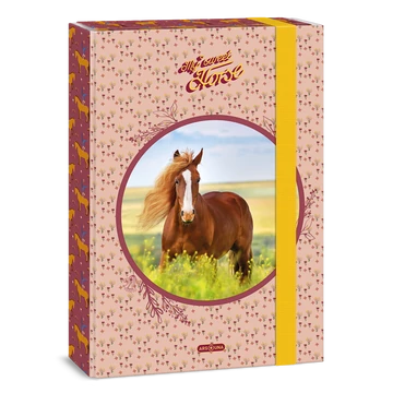 Ars Una My Sweet Horse A/4 füzetbox