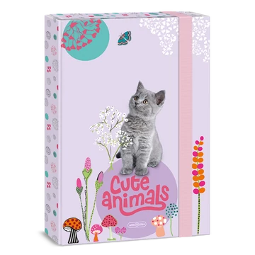 Ars Una Cute Animals-kitten A/4 füzetbox