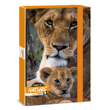 Ars Una Máté Bence-Lion A/4 füzetbox