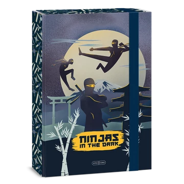 Ars Una Ninjas in the dark A/4 füzetbox