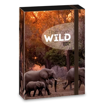 Ars Una Máté Bence The Eyes of the Wild A/5 füzetbox