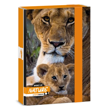 Ars Una Máté Bence-Lion A/5 füzetbox