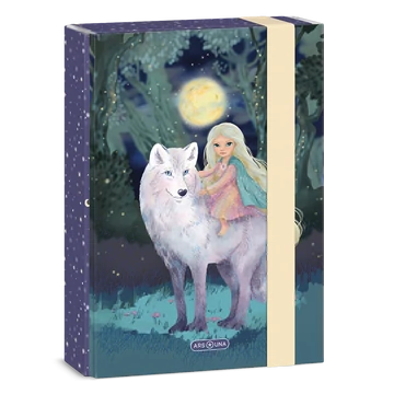 Ars Una Northern Lights A/5 füzetbox