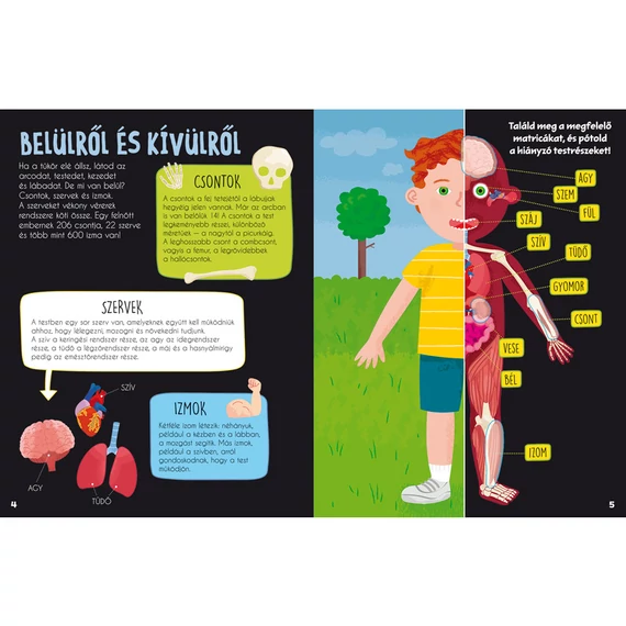 Marticás könyv - Emberi test
