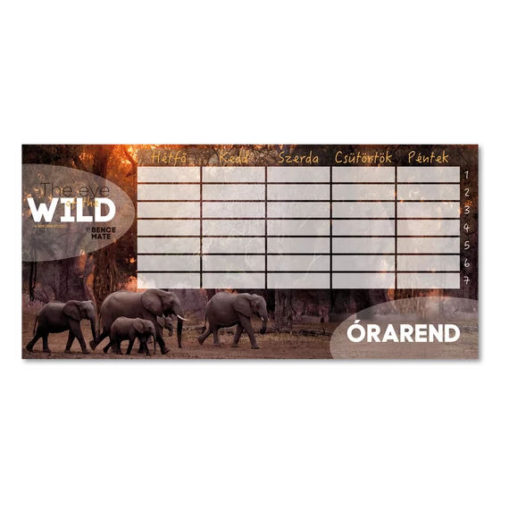 Ars Una Máté Bence The Eyes of the Wild órarend