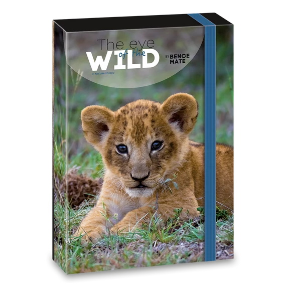 Ars Una Máté Bence The Eyes of the Wild - Lion A/4 füzetbox