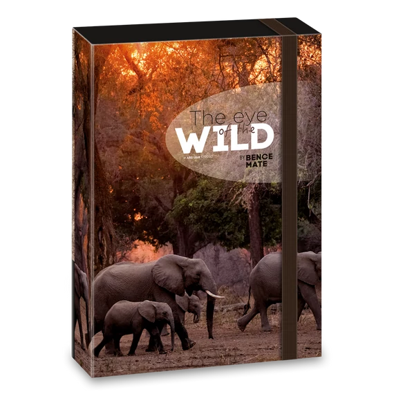 Ars Una Máté Bence The Eyes of the Wild - Elephant A/4 füzetbox