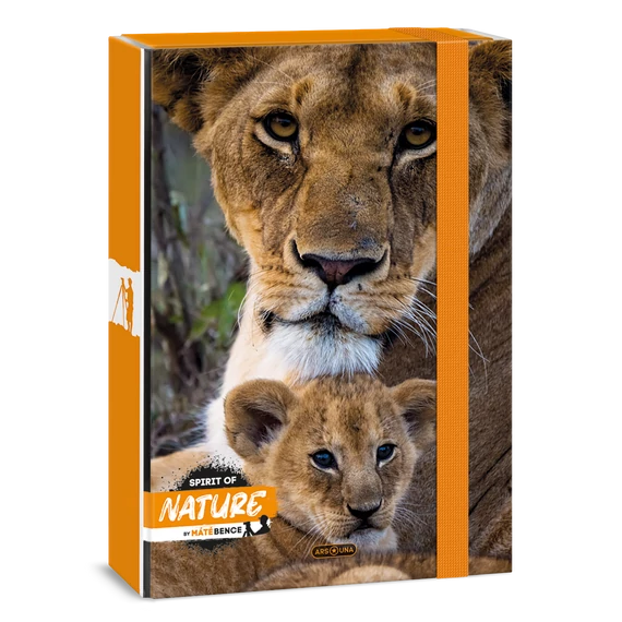 Ars Una Máté Bence-Lion A/4 füzetbox