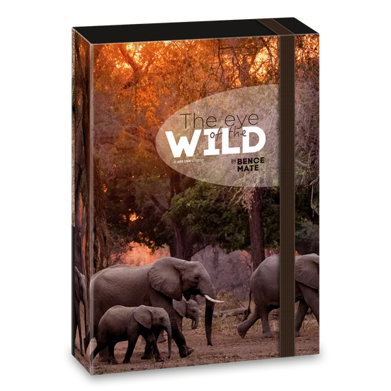 Ars Una Máté Bence The Eyes of the Wild A/5 füzetbox