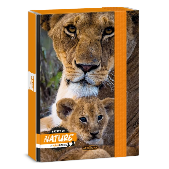 Ars Una Máté Bence-Lion A/5 füzetbox