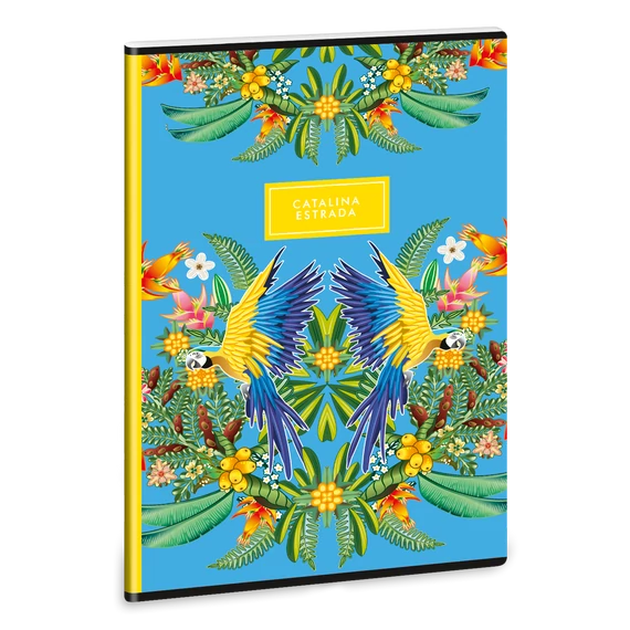 Catalina Estrada Araratiti A/4 extra kapcsos füzet-négyzethálós
