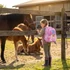 Ars Una Cute Animals-Horse anatómiai iskolatáska