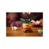 LEGO Botanicals 10343 Mini orchidea