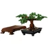 LEGO Botanicals 10281 Bonsai fa