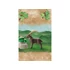 Playmobil Kecskebak