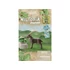 Playmobil Kecskebak