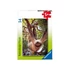 Ravensburger: Minipuzzle - Állatok