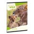 Ars Una Icons of the Wild-Lions A/5 leckefüzet
