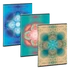 Ars Una Mandala Hope-mix A/4 extra kapcsos füzet-négyzethálós